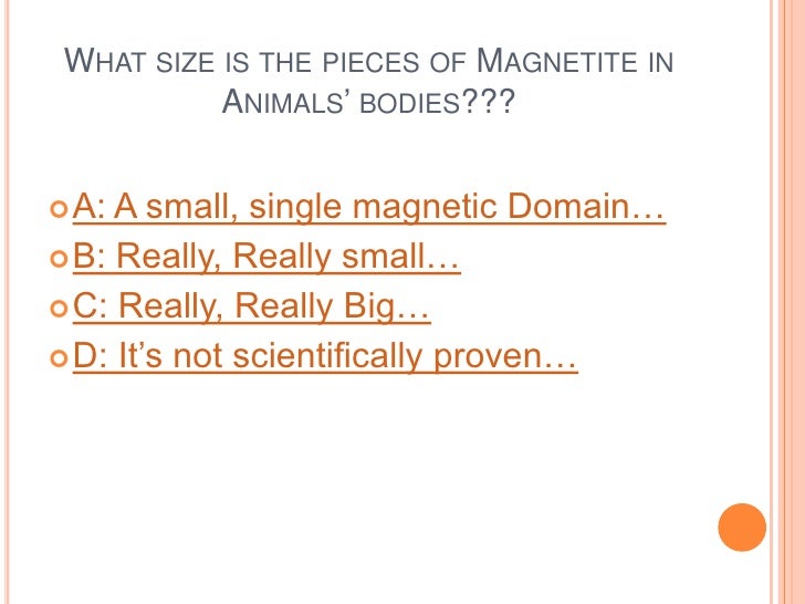 What is a magnetic domain?
