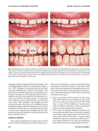 Magnesteps Magne width lengthratio | PDF