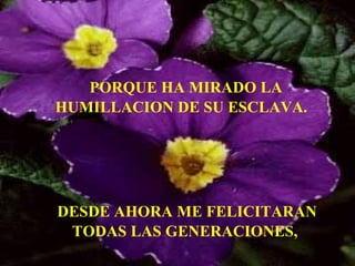 PORQUE HA MIRADO LA  HUMILLACION DE SU ESCLAVA. DESDE AHORA ME FELICITARAN TODAS LAS GENERACIONES, 