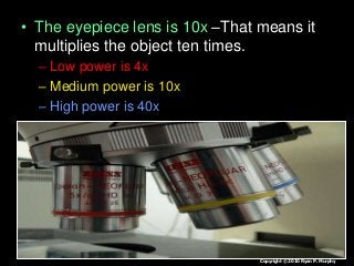 • The eyepiece lens is 10x –That means it
multiplies the object ten times.
– Low power is 4x
– Medium power is 10x
– High power is 40x
Copyright © 2010 Ryan P. Murphy
 