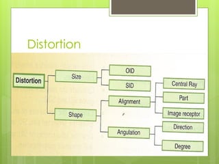 Comprehensive Guide to Radiographic Magnification and Image Distortion ...