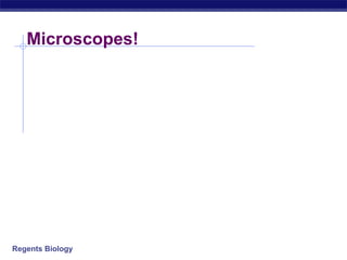Regents Biology
Microscopes!
 