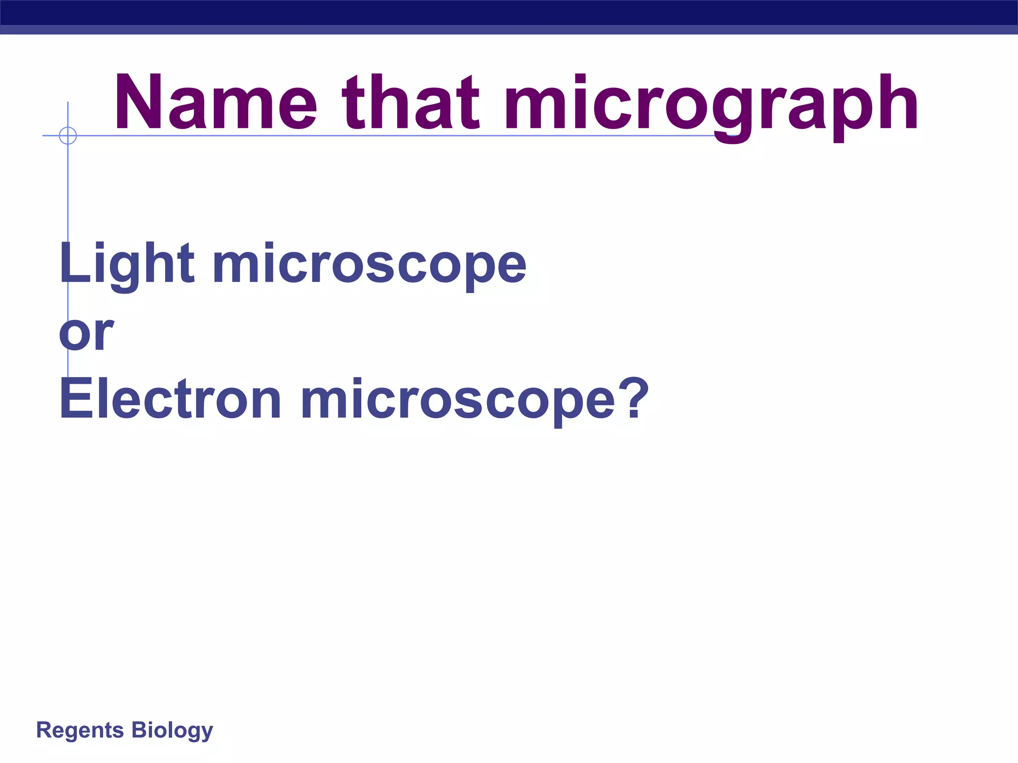 Name that micrograph 
Light microscope 
or 
Electron microscope? 
Regents Biology 
 