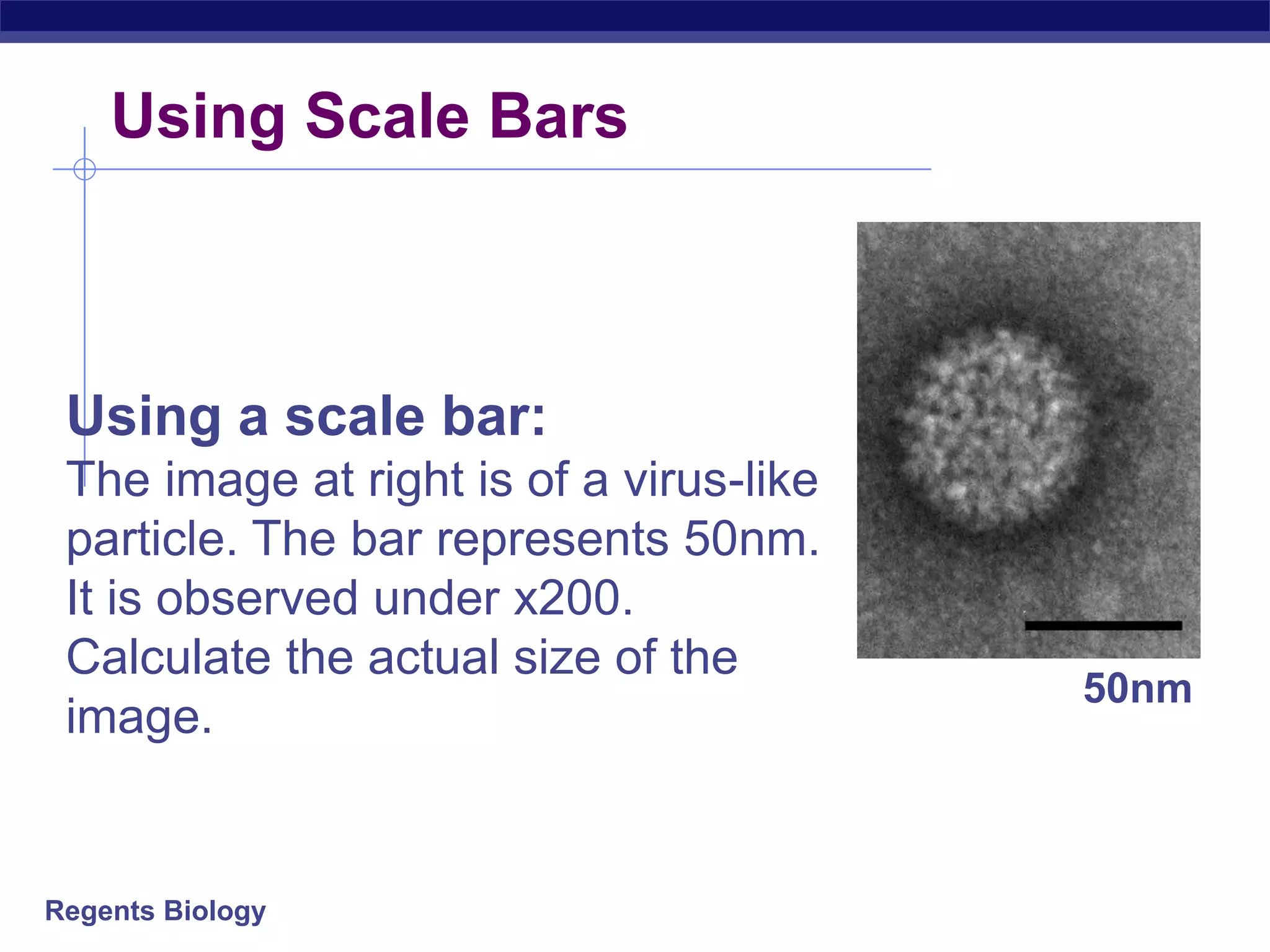 Using Scale Bars 
Using a scale bar: 
The image at right is of a virus-like 
particle. The bar represents 50nm. 
It is observed under x200. 
Calculate the actual size of the 
image. 
Regents Biology 
50nm 
 