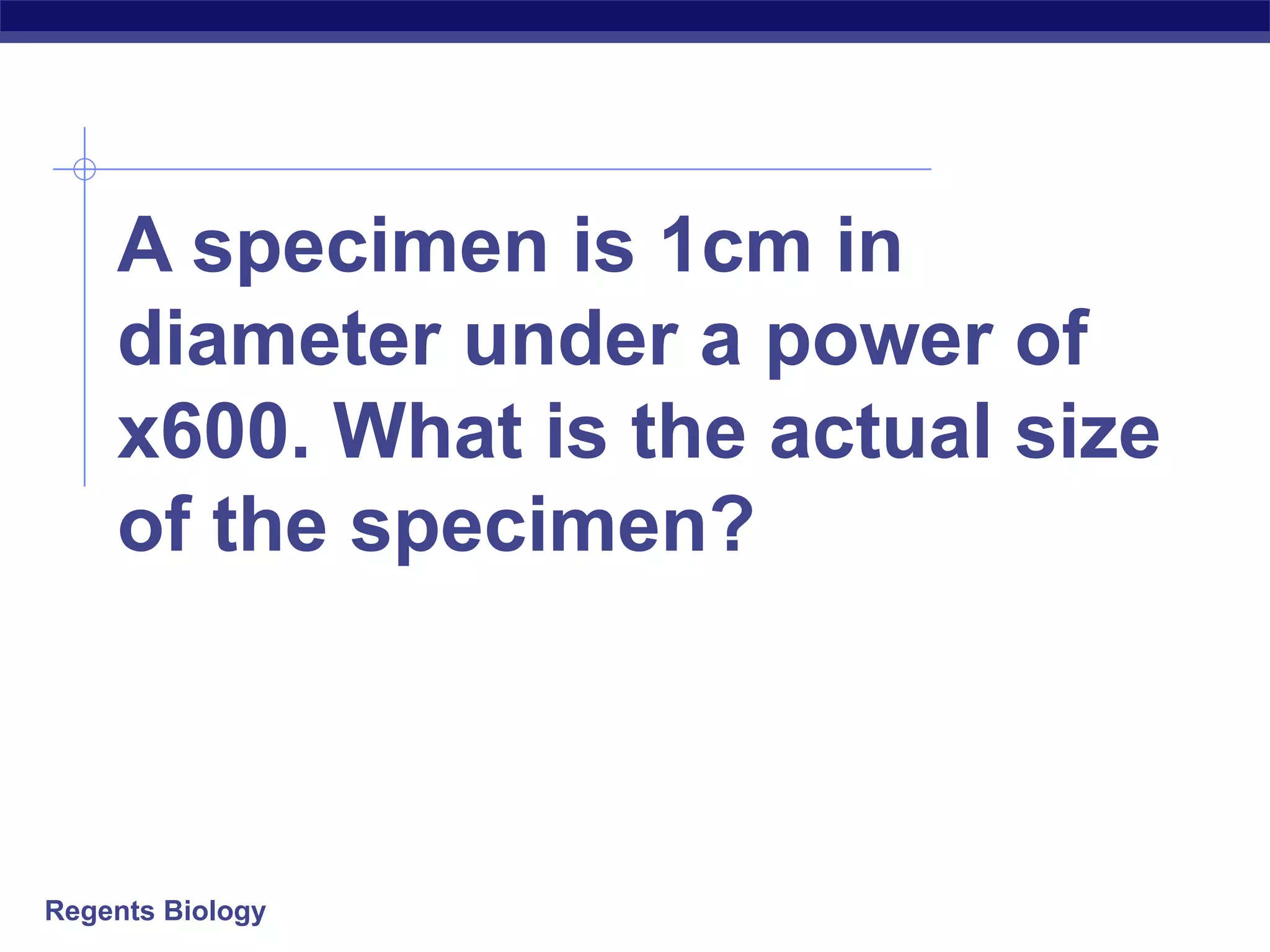 A specimen is 1cm in 
diameter under a power of 
x600. What is the actual size 
of the specimen? 
Regents Biology 
 
