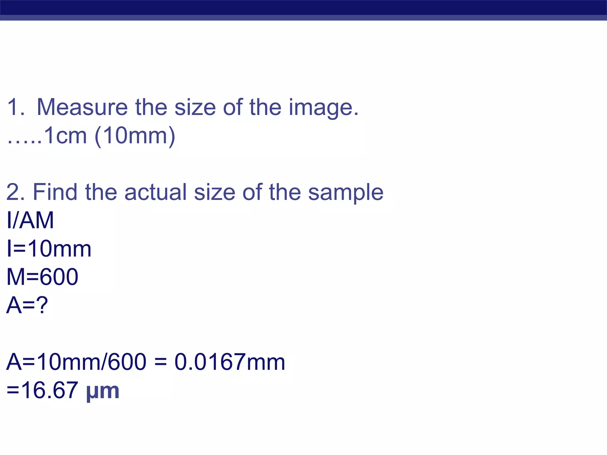 1. Measure the size of the image. 
…..1cm (10mm) 
2. Find the actual size of the sample 
I/AM 
I=10mm 
M=600 
A=? 
A=10mm/600 = 0.0167mm 
=16.67 μm 
Regents Biology 
 