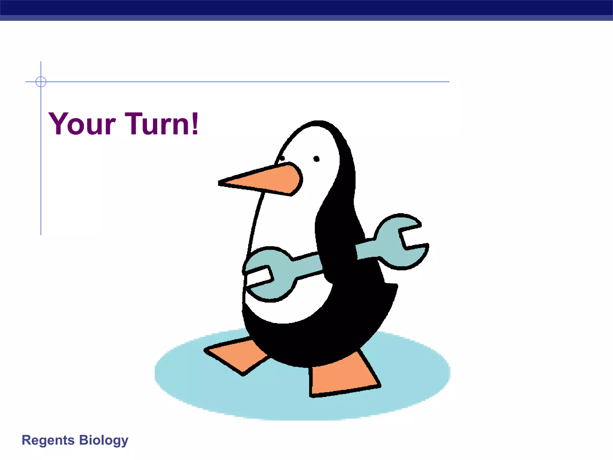 Your Turn! 
Regents Biology 
