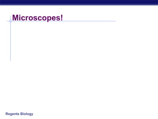 Microscopes! 
Regents Biology 
 