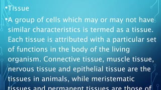 •Tissue
•A group of cells which may or may not have
similar characteristics is termed as a tissue.
Each tissue is attributed with a particular set
of functions in the body of the living
organism. Connective tissue, muscle tissue,
nervous tissue and epithelial tissue are the
tissues in animals, while meristematic
 