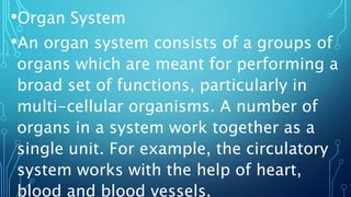 •Organ System
•An organ system consists of a groups of
organs which are meant for performing a
broad set of functions, particularly in
multi-cellular organisms. A number of
organs in a system work together as a
single unit. For example, the circulatory
system works with the help of heart,
blood and blood vessels.
 