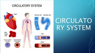 CIRCULATO
RY SYSTEM
 