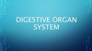 DIGESTIVE ORGAN
SYSTEM
 