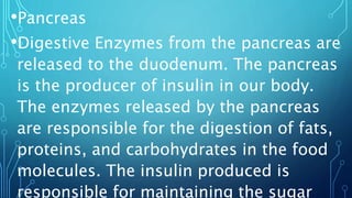 •Pancreas
•Digestive Enzymes from the pancreas are
released to the duodenum. The pancreas
is the producer of insulin in our body.
The enzymes released by the pancreas
are responsible for the digestion of fats,
proteins, and carbohydrates in the food
molecules. The insulin produced is
responsible for maintaining the sugar
 