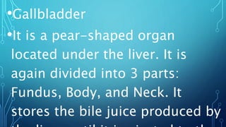 •Gallbladder
•It is a pear-shaped organ
located under the liver. It is
again divided into 3 parts:
Fundus, Body, and Neck. It
stores the bile juice produced by
 