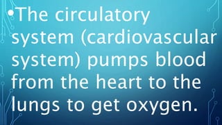 •The circulatory
system (cardiovascular
system) pumps blood
from the heart to the
lungs to get oxygen.
 