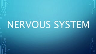 NERVOUS SYSTEM
 