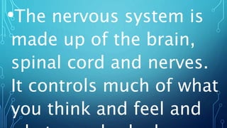 •The nervous system is
made up of the brain,
spinal cord and nerves.
It controls much of what
you think and feel and
 