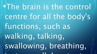 •The brain is the control
centre for all the body's
functions, such as
walking, talking,
swallowing, breathing,
 