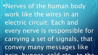 •Nerves of the human body
work like the wires in an
electric circuit. Each and
every nerve is responsible for
carrying a set of signals, that
convey many messages like
 