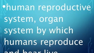•human reproductive
system, organ
system by which
humans reproduce
 