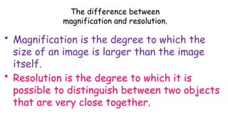 Magnification for IGCSE Biology ————————- | PPTX