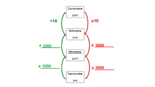 Magnification for IGCSE Biology ————————- | PPTX