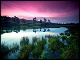 Magnificent Nature