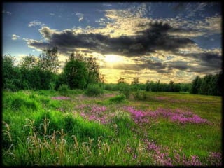 Magnificent Nature