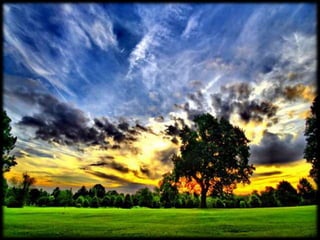 Magnificent Nature