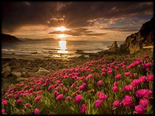 Magnificent Nature