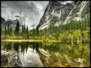 Magnificent Nature