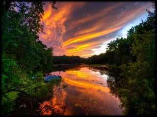 Magnificent Nature