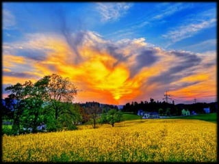 Magnificent Nature