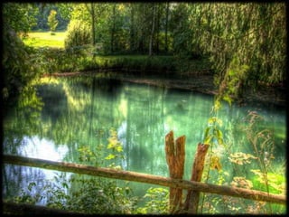 Magnificent Nature