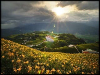 Magnificent Nature