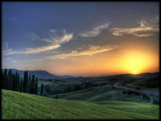 Magnificent Nature