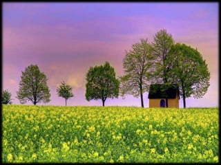 Magnificent Nature