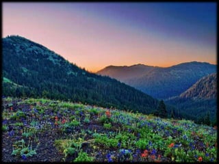 Magnificent Nature