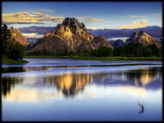 Magnificent Nature