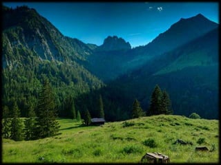 Magnificent Nature