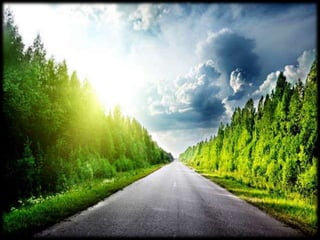 Magnificent Nature