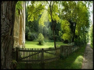 Magnificent Nature