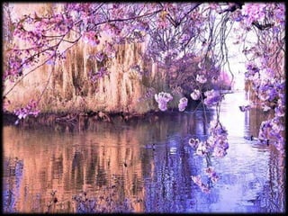 Magnificent Nature