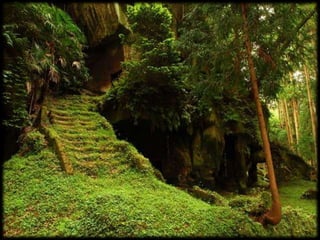 Magnificent Nature