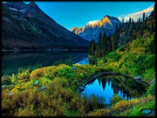 Magnificent Nature