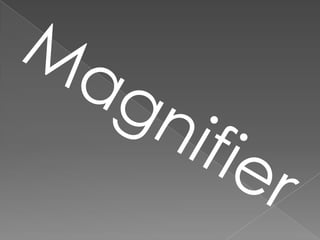 Magnifier 