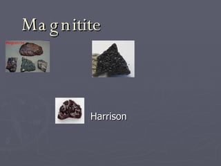 Magnitite Harrison 