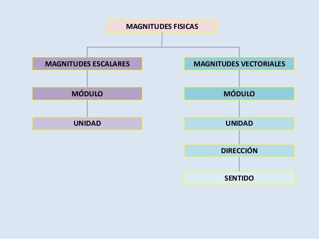 Magnitudes escalares-y-vectoriales