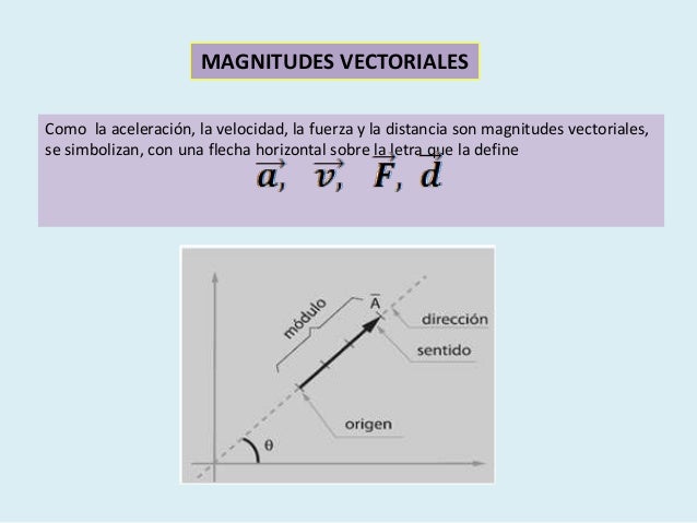 Que Diferencia Hay Entre Magnitud Escalar Y Vectorial