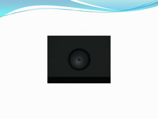 Magnitudes electricas